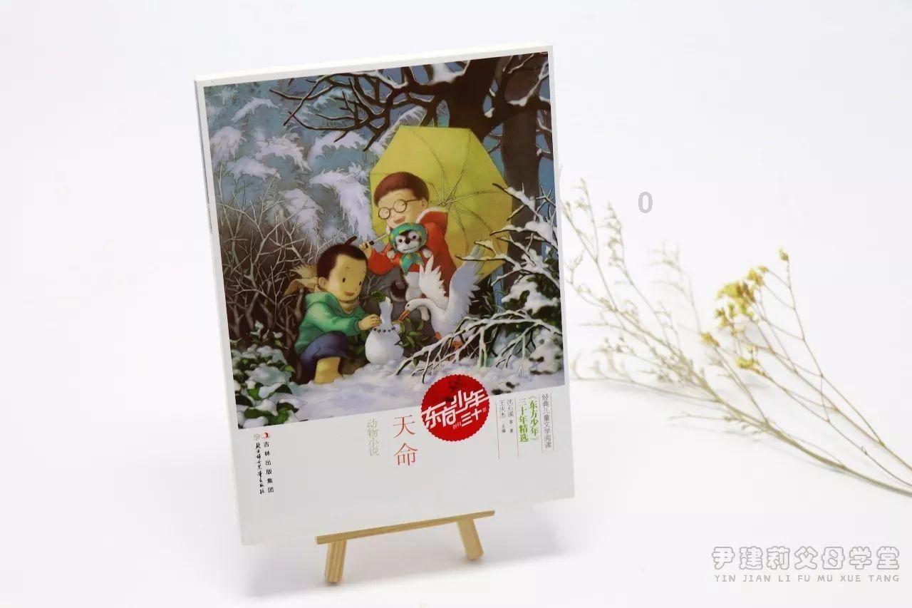 吃红利容易,创造收视红利却很难,但“姐狗天菜”宋茜做到了!