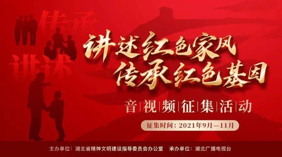可爱的小考拉